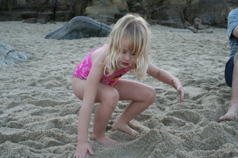 La Jolla 010