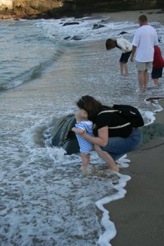 La Jolla 021