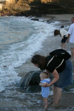 La Jolla 022