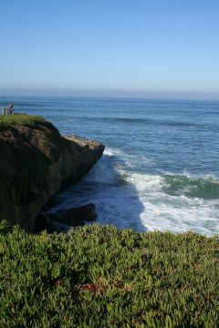 La Jolla 041