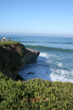 La Jolla 042