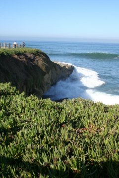 La Jolla 044