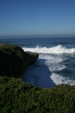 La Jolla 045