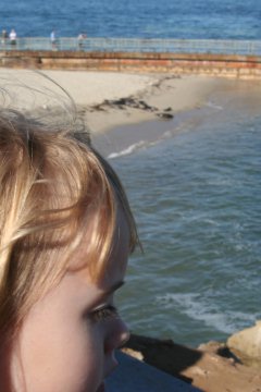 La Jolla 050