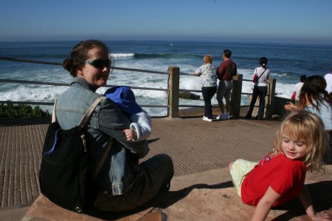 La Jolla 055