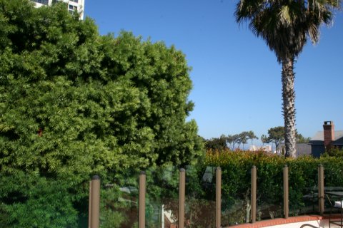 La Jolla 070