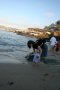 La Jolla 025