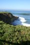 La Jolla 044