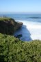 La Jolla 047